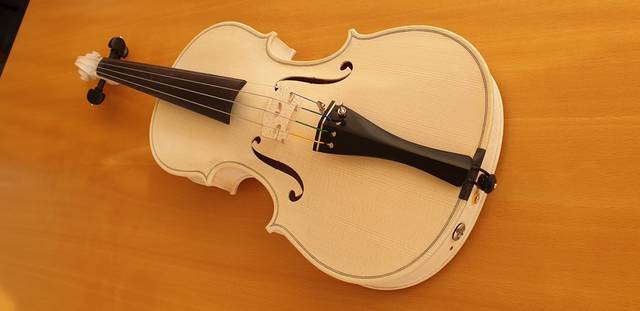 Violin bimodal